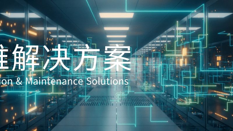 大型企业驻场运维服务案例