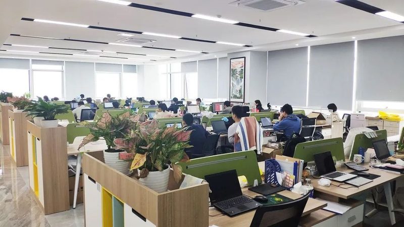 数据中心运维，定制服务如何满足企业需求？**